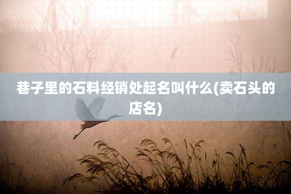 巷子里的石料经销处起名叫什么(卖石头的店名)