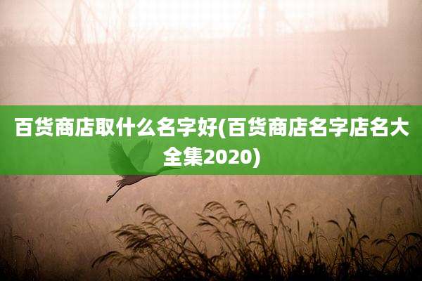 百货商店取什么名字好(百货商店名字店名大全集2020)