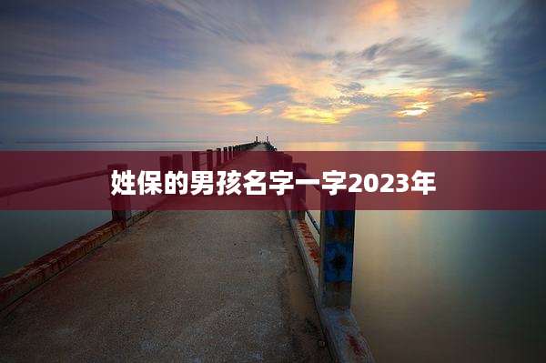 姓保的男孩名字一字2023年