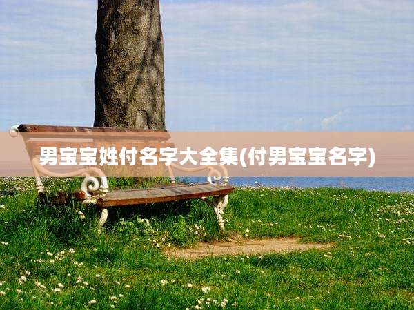 男宝宝姓付名字大全集(付男宝宝名字)