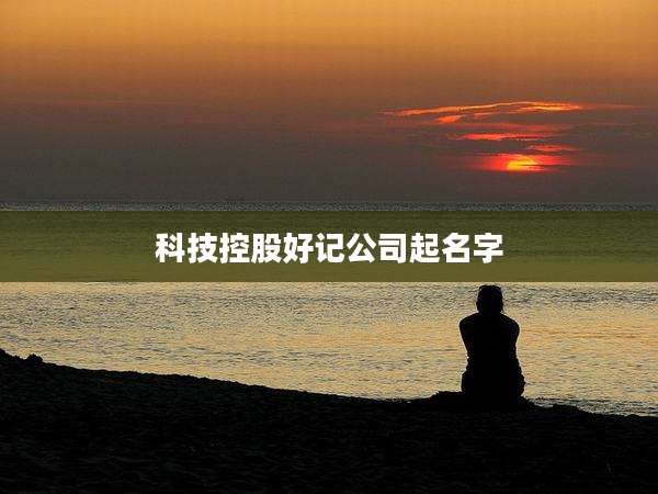 科技控股好记公司起名字