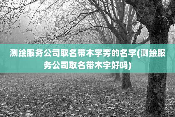 测绘服务公司取名带木字旁的名字(测绘服务公司取名带木字好吗)
