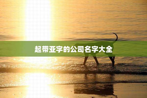 起带亚字的公司名字大全