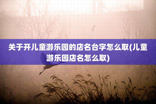 关于开儿童游乐园的店名台字怎么取(儿童游乐园店名怎么取)