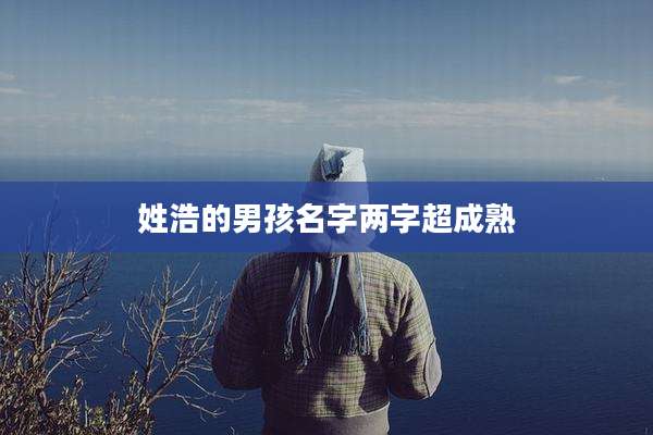 姓浩的男孩名字两字超成熟