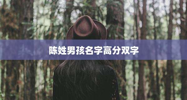 陈姓男孩名字高分双字