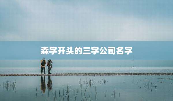 森字开头的三字公司名字