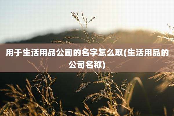 用于生活用品公司的名字怎么取(生活用品的公司名称)