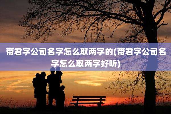 带君字公司名字怎么取两字的(带君字公司名字怎么取两字好听)