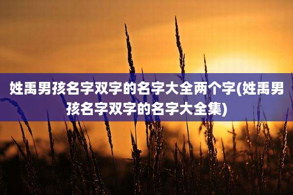 姓禹男孩名字双字的名字大全两个字(姓禹男孩名字双字的名字大全集)