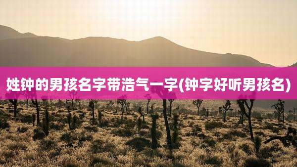 姓钟的男孩名字带浩气一字(钟字好听男孩名)