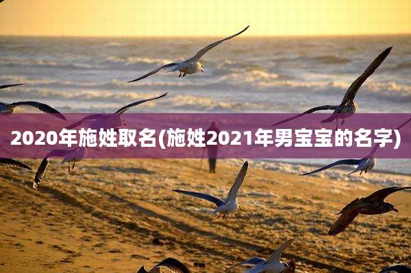 2020年施姓取名(施姓2021年男宝宝的名字)