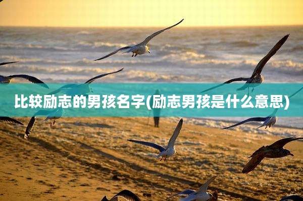 比较励志的男孩名字(励志男孩是什么意思)