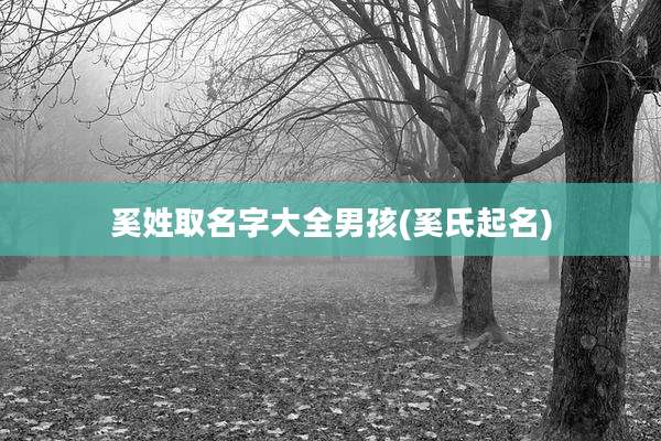 奚姓取名字大全男孩(奚氏起名)