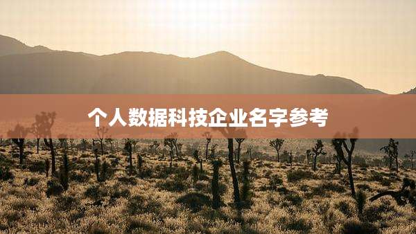 个人数据科技企业名字参考