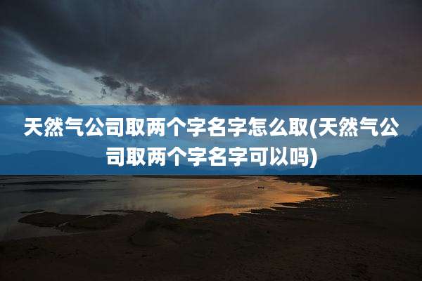 天然气公司取两个字名字怎么取(天然气公司取两个字名字可以吗)