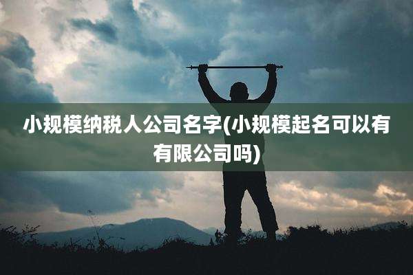 小规模纳税人公司名字(小规模起名可以有有限公司吗)