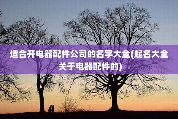 适合开电器配件公司的名字大全(起名大全 关于电器配件的)