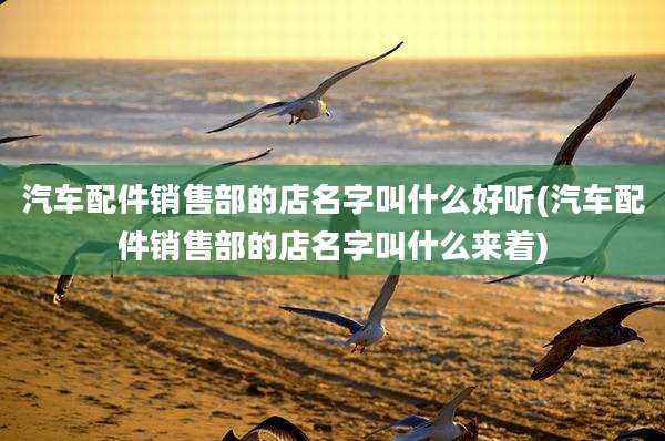 汽车配件销售部的店名字叫什么好听(汽车配件销售部的店名字叫什么来着)
