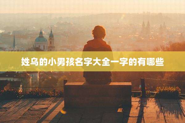 姓乌的小男孩名字大全一字的有哪些