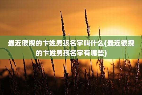 最近很拽的卞姓男孩名字叫什么(最近很拽的卞姓男孩名字有哪些)
