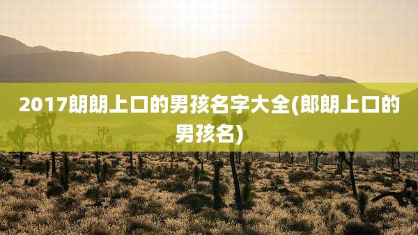 2017朗朗上口的男孩名字大全(郎朗上口的男孩名)