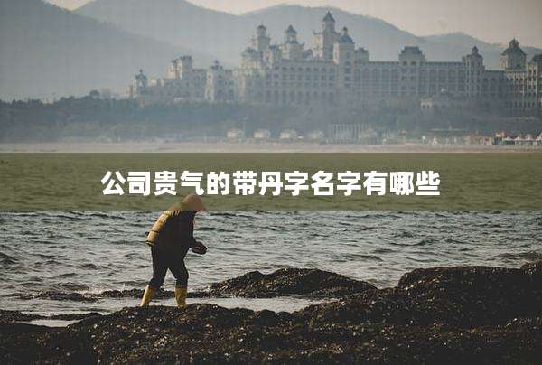 公司贵气的带丹字名字有哪些