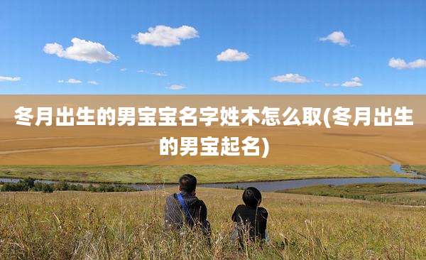 冬月出生的男宝宝名字姓木怎么取(冬月出生的男宝起名)