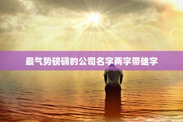 最气势磅礴的公司名字两字带雄字