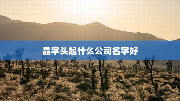 晶字头起什么公司名字好