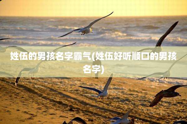 姓伍的男孩名字霸气(姓伍好听顺口的男孩名字)
