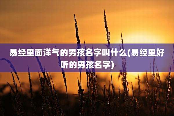 易经里面洋气的男孩名字叫什么(易经里好听的男孩名字)