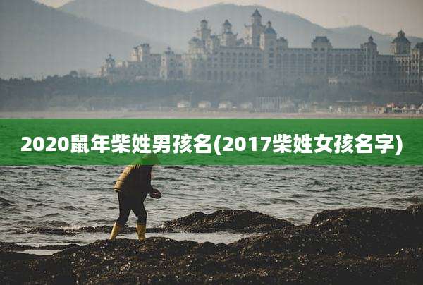 2020鼠年柴姓男孩名(2017柴姓女孩名字)