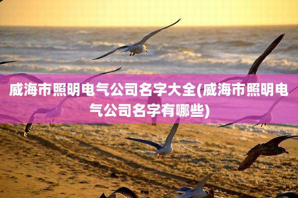 威海市照明电气公司名字大全(威海市照明电气公司名字有哪些)