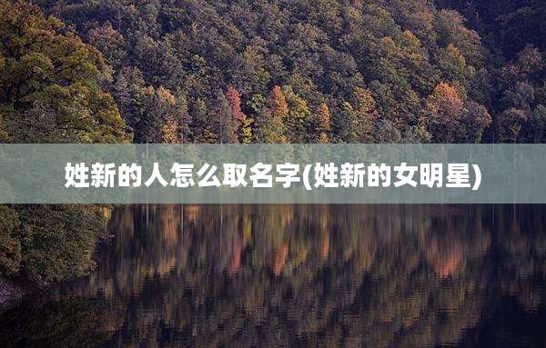 姓新的人怎么取名字(姓新的女明星)