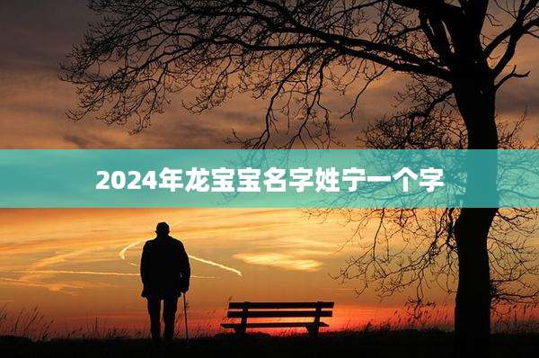 2024年龙宝宝名字姓宁一个字