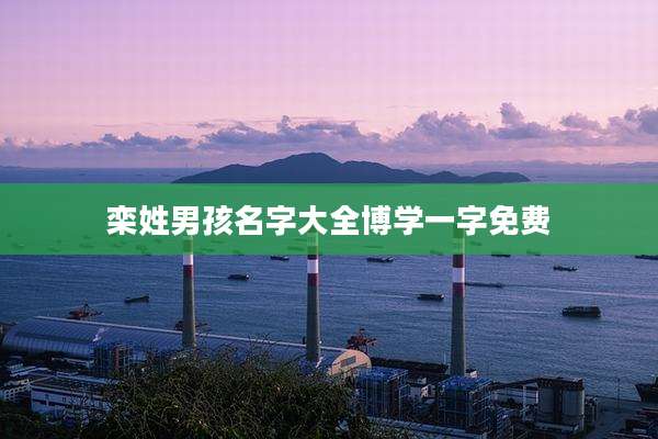 栾姓男孩名字大全博学一字免费