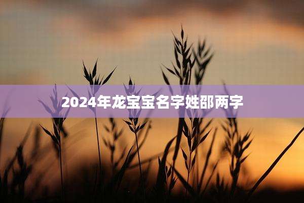 2024年龙宝宝名字姓邵两字