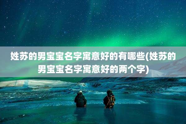 姓苏的男宝宝名字寓意好的有哪些(姓苏的男宝宝名字寓意好的两个字)