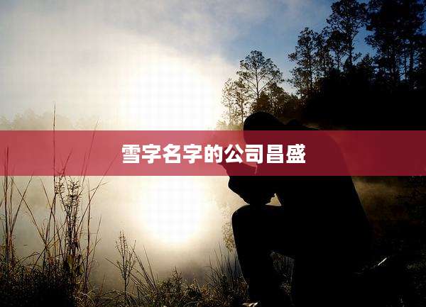 雪字名字的公司昌盛