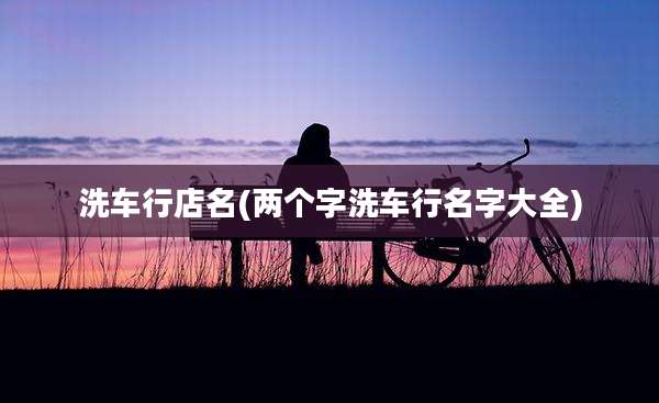 洗车行店名(两个字洗车行名字大全)