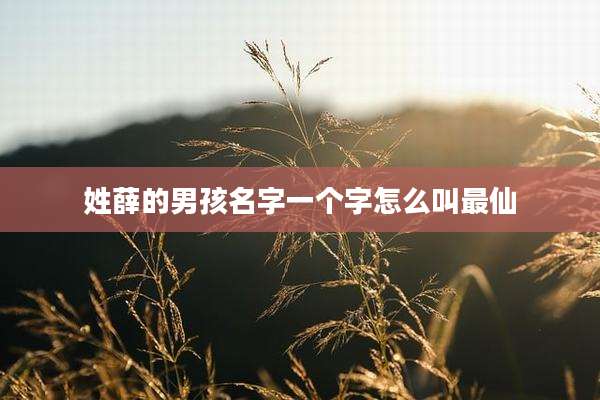 姓薛的男孩名字一个字怎么叫最仙