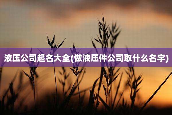 液压公司起名大全(做液压件公司取什么名字)