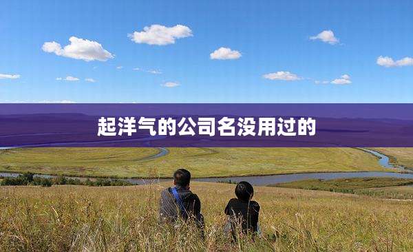 起洋气的公司名没用过的