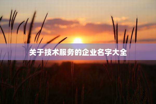 关于技术服务的企业名字大全