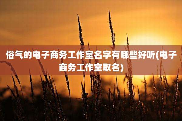 俗气的电子商务工作室名字有哪些好听(电子商务工作室取名)