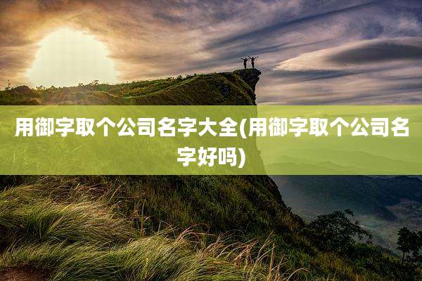 用御字取个公司名字大全(用御字取个公司名字好吗)