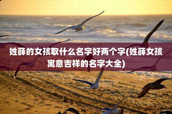姓薛的女孩取什么名字好两个字(姓薛女孩寓意吉祥的名字大全)