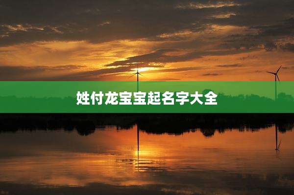 姓付龙宝宝起名字大全