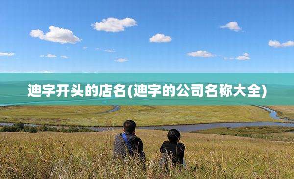 迪字开头的店名(迪字的公司名称大全)